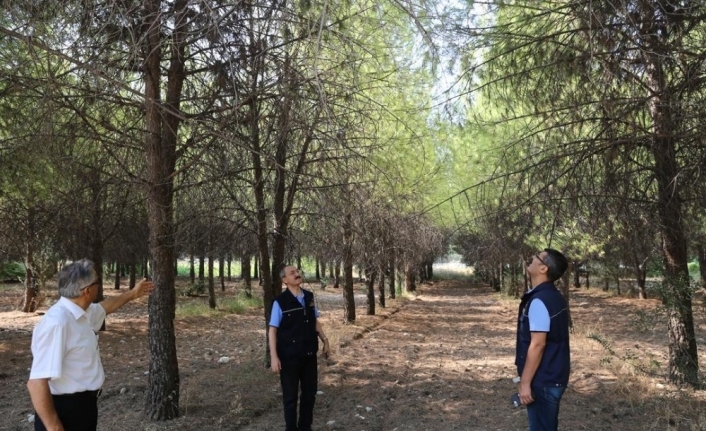  İzmir Orman Bölge Müdürlüğü İle Ege Üniversitesi (eü) Arasında