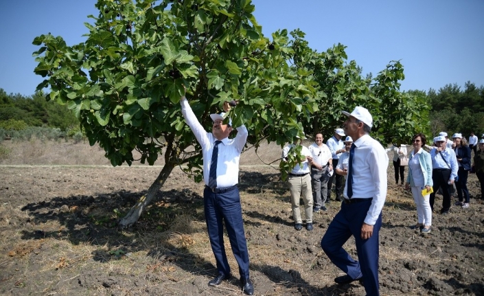  Üniversite Yönetimi, Toplantının Ardından Üretim Yapılan Fakülte Tarla, Bahçe