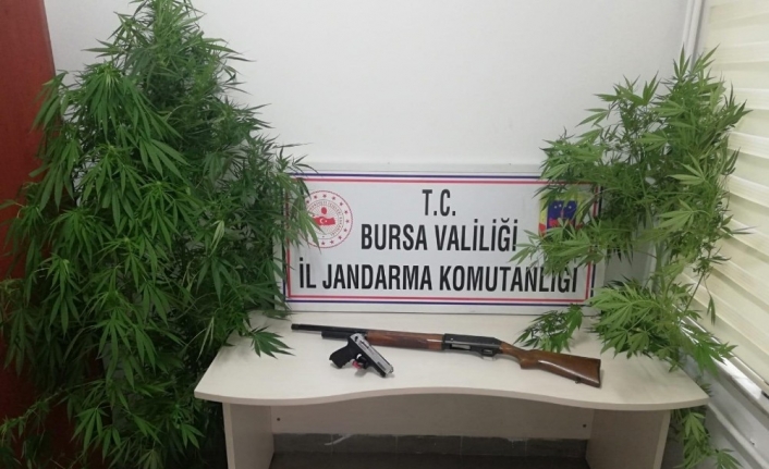 Jandarma Ekiplerinin, Bursa'nın İnegöl İlçesine Bağlı  Bağlı Tuzla Mahallesinde