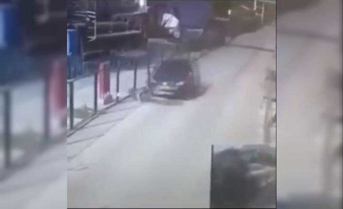  Vicdansız Sürücü Yolun Kenarında Duran Köpeği Böyle Ezdi