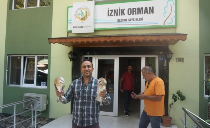  Bursa (iha) - Bursa İznik'te Vatandaşların Yaralı Halde Bulduğu