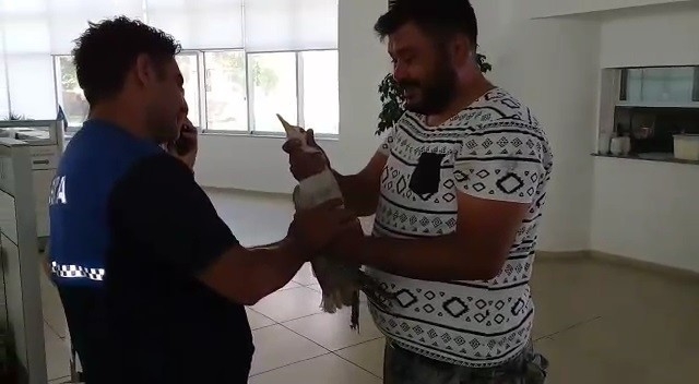  İzmir’in Aliağa İlçesinde Yaralı Martıyı Gören Oto Kurtarıcı Şoförü,
