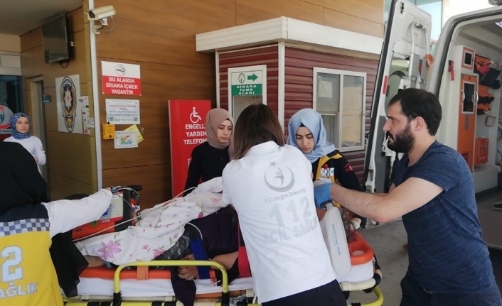  Bursa'nın İnegöl İlçesinde  Tır'ın Çarptiği Yaşlı Kadın Hayatını