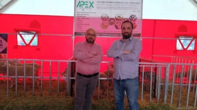 Bursa’nın Yenişehir ilçesindeki hayvan üreticilerinin getirdiği hayvanlar Ankara’da düzenlenen küçükbaş