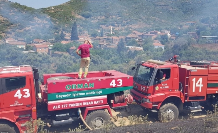  İzmir’in Tire İlçesinde, Makilik Alanda Çikan Ve Yerleşim Yerlerine