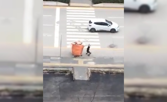 İzmir’de sokaklarda ekmek parasını omuzlarında kendinden daha ağır yük taşıyarak