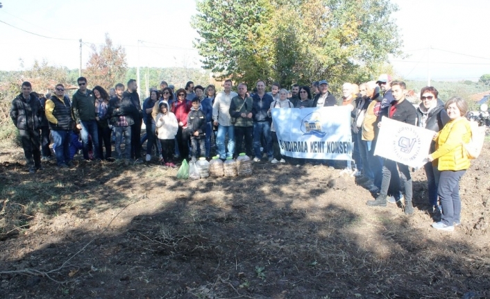  Manyas İlçesinin Kırsal Salur Mahallesinde Bir Araya Gelen Çevre