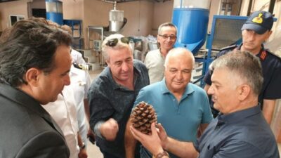  Balıkesir Valisi Ersin Yazıcı Ayvalık İlçesinde Çam Fıstığı Fabrikası