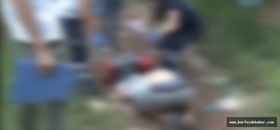 Balıkesir’in Edremit ilçesinde bir kişi, zeytinlik alanda ölü olarak bulundu.
